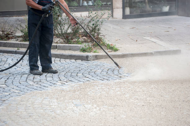 Best Gutter Cleaning  in Oak Harbor, OH